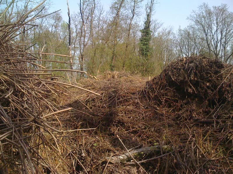Enlèvement de déchets verts et bois Chartres